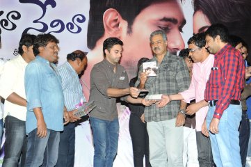 Nuvvala Nenila Audio Launch